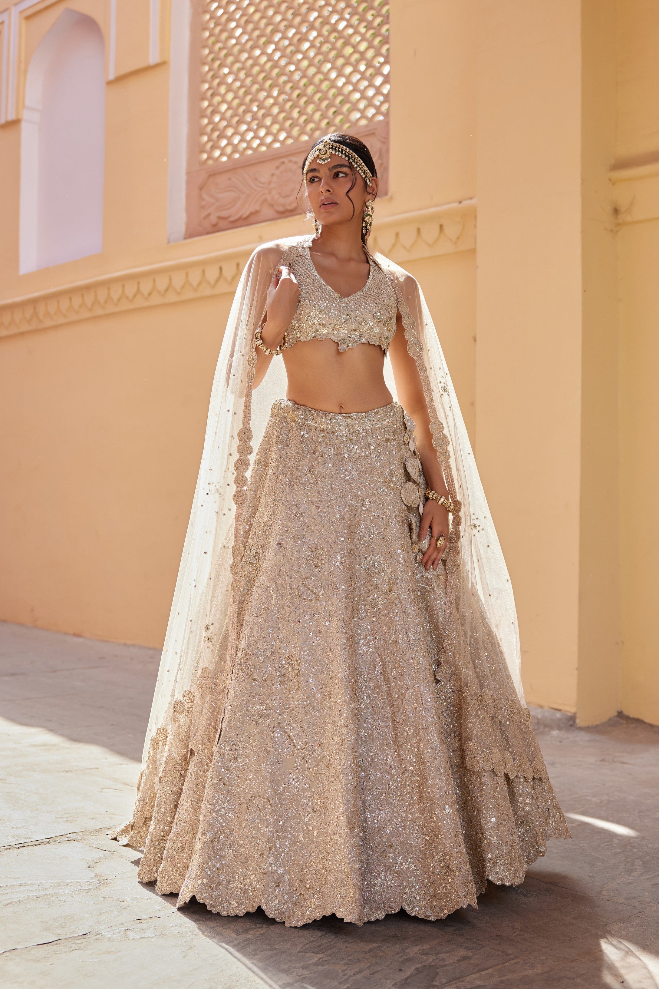 Beige Champagne Embroidered Lehenga