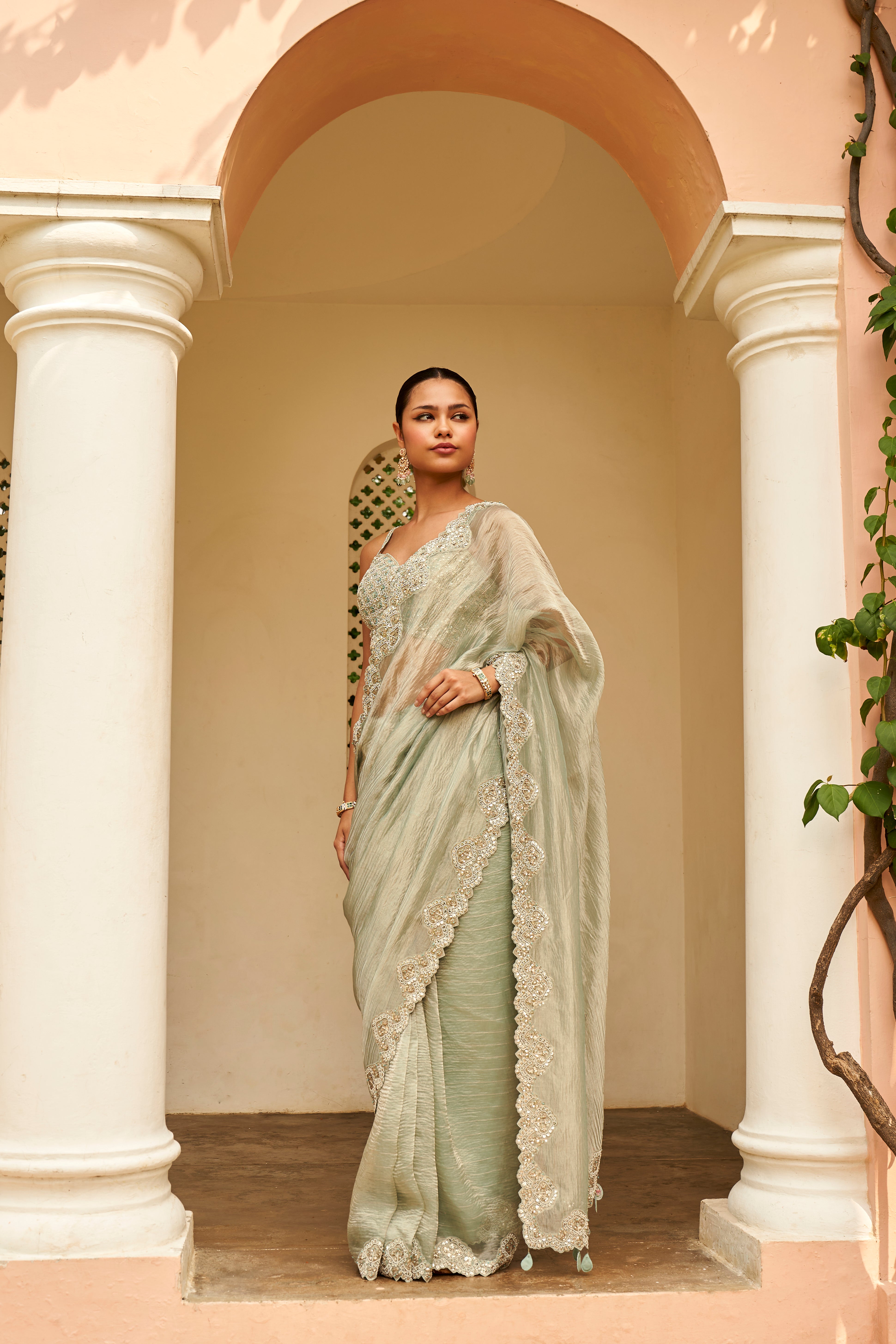 Pastel Grey Saree Set