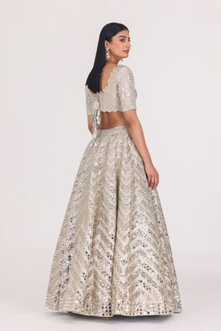 LINEARS PATTERN EMBELLISHED LEHENGA SET