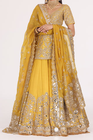 GOLDENROD HALDI EMBELLISHED LEHENGA SET