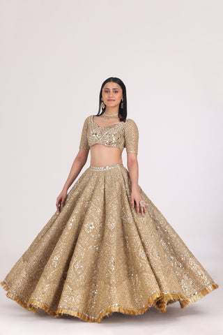 FLORAL MOTIF TISSUE LEHENGA SET