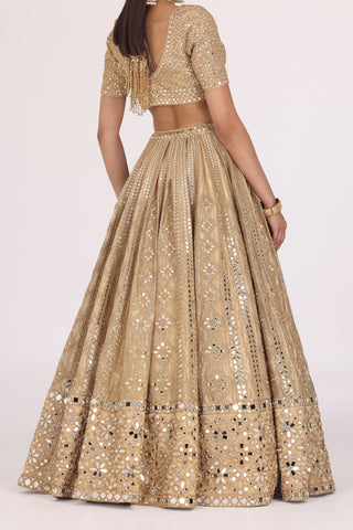 PATTERN TISSUE LEHENGA SET