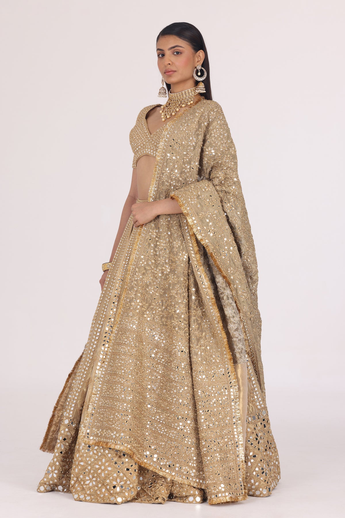 PATTERN TISSUE LEHENGA SET