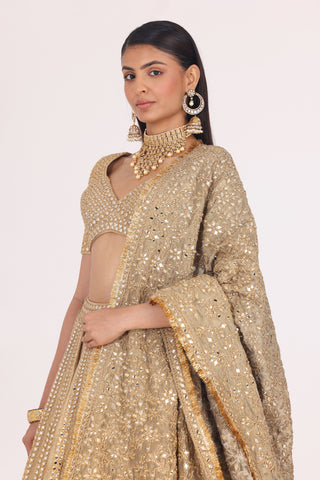 PATTERN TISSUE LEHENGA SET