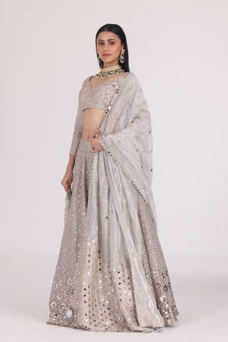 SILVER TISSUE PATTERN EMBELLISHED LEHENGA SET