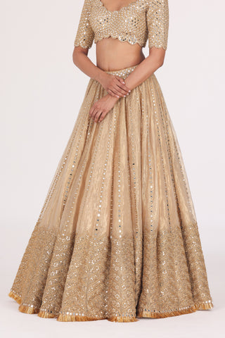 MIRROR EMBELLISHED TISSUE LEHENGA SET