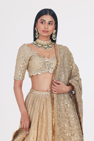 MIRROR EMBELLISHED TISSUE LEHENGA SET