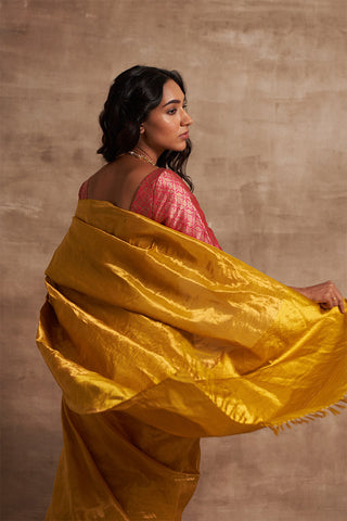 'Sunehari Potli' Tissue Benarasi Handloom Sari