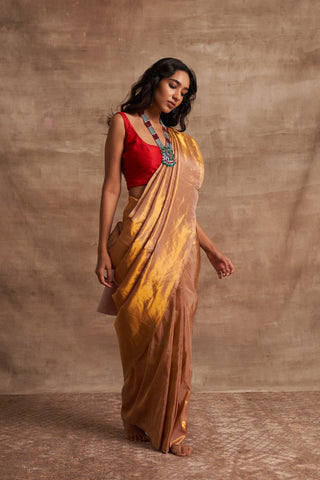 'Sunehari Potli' Tissue Benarasi Handloom Sari