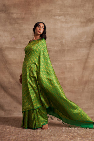 'Husna Pitambari' Tanchoi Benarasi Handloom Sari