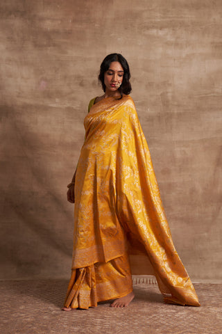 'Jaal Manjari' Pitambari Kadhua Benarasi Handloom Sari