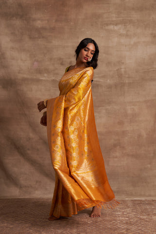 'Jaal Manjari' Pitambari Kadhua Benarasi Handloom Sari