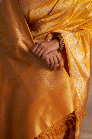 'Jaal Manjari' Pitambari Kadhua Benarasi Handloom Sari