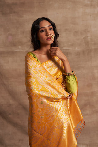 'Jaal Manjari' Pitambari Kadhua Benarasi Handloom Sari