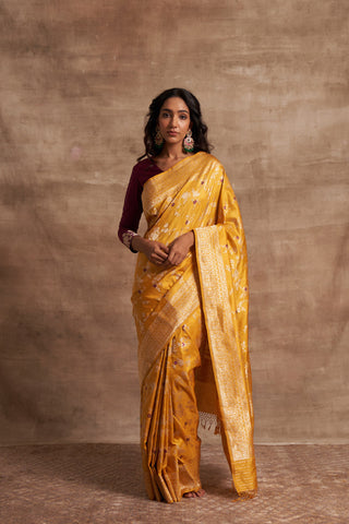 'Indra Ki Pari' Pitambari Kadhua Benarasi Handloom Sari