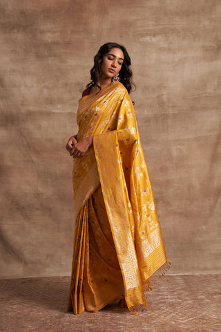 'Indra Ki Pari' Pitambari Kadhua Benarasi Handloom Sari