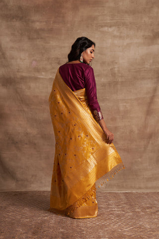 'Indra Ki Pari' Pitambari Kadhua Benarasi Handloom Sari