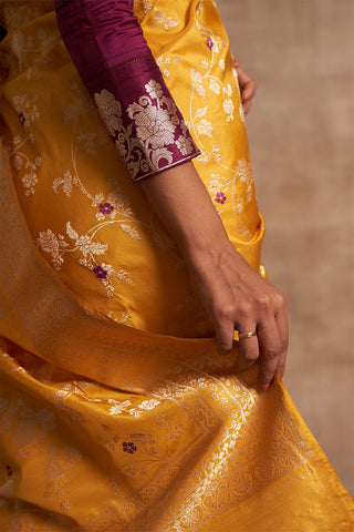 'Indra Ki Pari' Pitambari Kadhua Benarasi Handloom Sari