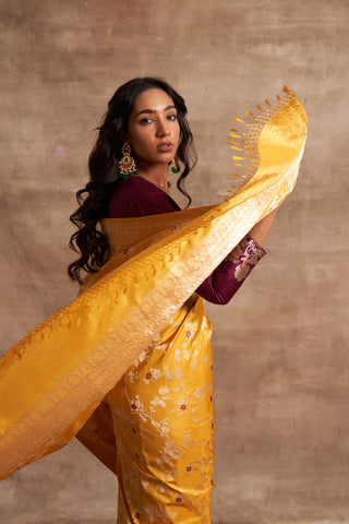 'Indra Ki Pari' Pitambari Kadhua Benarasi Handloom Sari