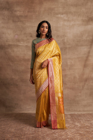 'Chaand Ki Jaali' Pitambari Ektara Benarasi Handloom Sari