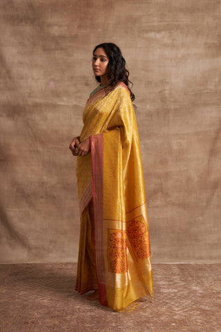 'Chaand Ki Jaali' Pitambari Ektara Benarasi Handloom Sari