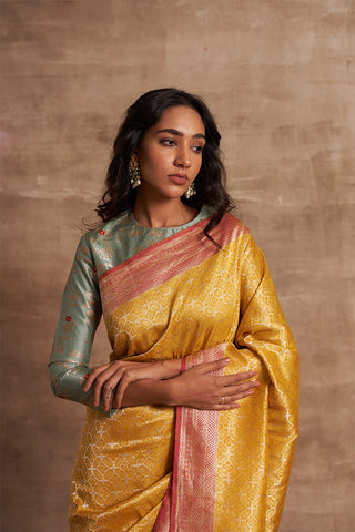 'Chaand Ki Jaali' Pitambari Ektara Benarasi Handloom Sari