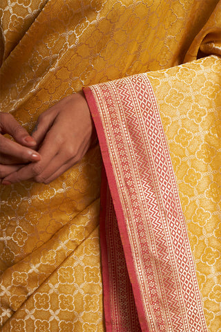 'Chaand Ki Jaali' Pitambari Ektara Benarasi Handloom Sari