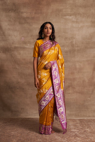 'Chanchal Chitwan' Pitambari Kadiyal Benarasi Handloom Sari