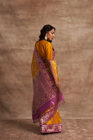 'Chanchal Chitwan' Pitambari Kadiyal Benarasi Handloom Sari