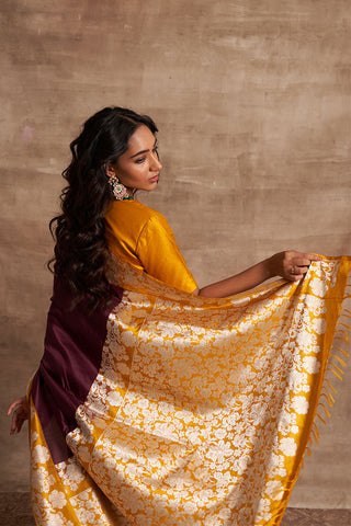 'Gulon Ki Mehfil' Jamuni Kadiyal Benarasi Handloom Sari