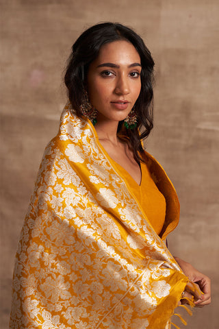 'Gulon Ki Mehfil' Jamuni Kadiyal Benarasi Handloom Sari