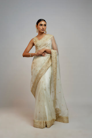 Golconda  Maahi organza Saree set