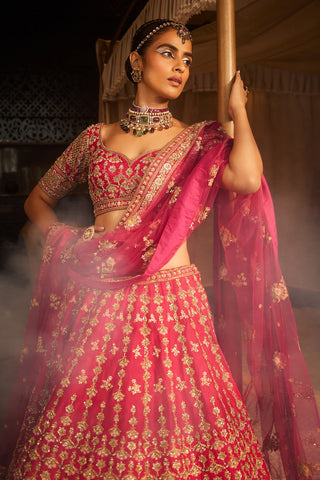 Rani heavily embroidered lehenga