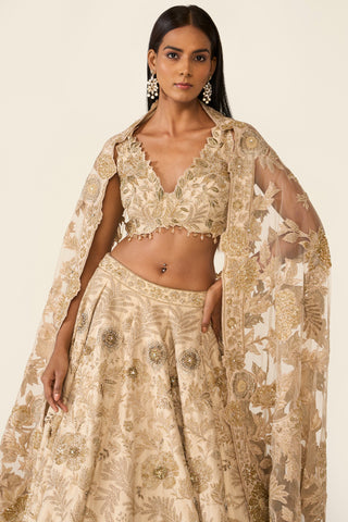 Golden Lehenga Set