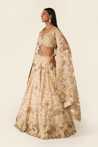 Golden Lehenga Set