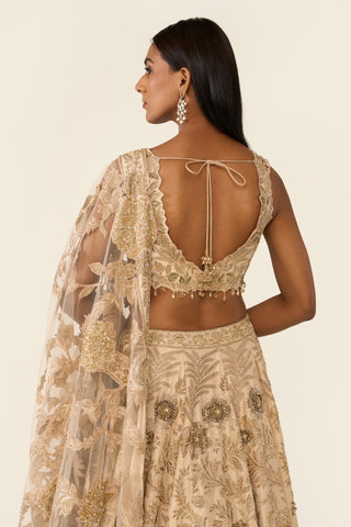 Golden Lehenga Set