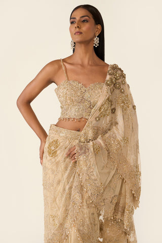 Golden Concept Saree Set