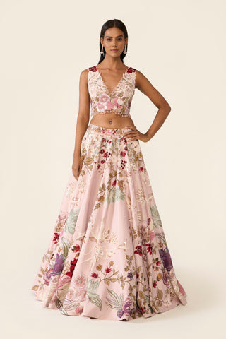 Pink Embroidered Lehenga Set