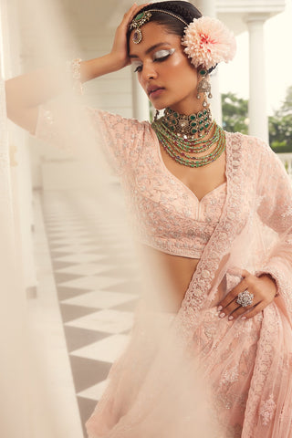 Pink embroidered lehenga