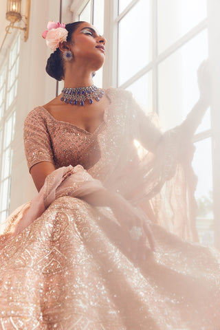 Pink embroidered lehenga