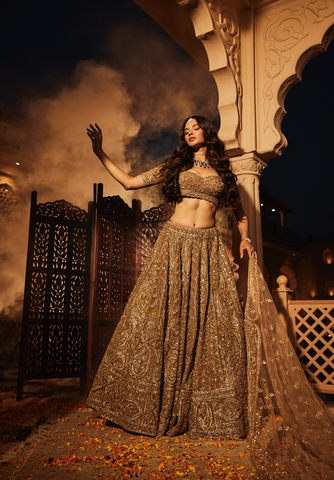 Gold organza embroidered lehenga