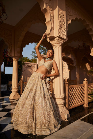 Ivory heavily embroidered lehenga