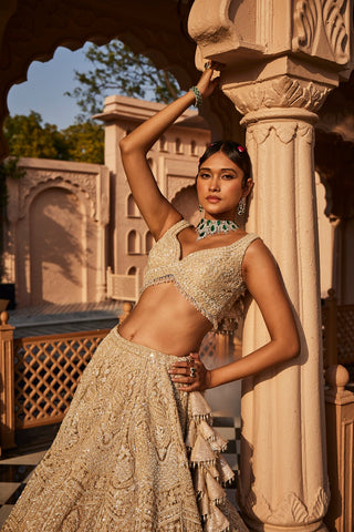 Ivory heavily embroidered lehenga