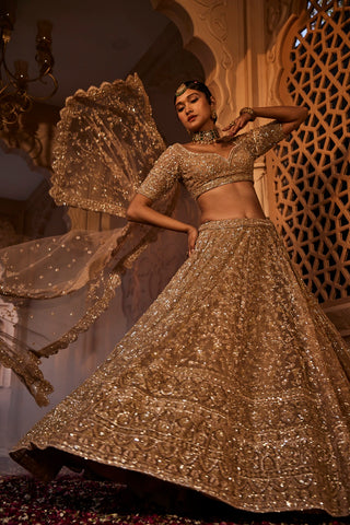 Gold organza lehenga