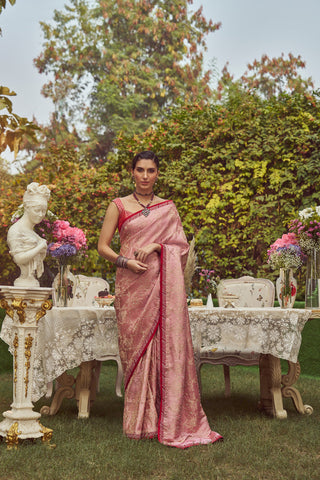 'Florence' Damask Tissue Tanchoi Handloom Sari with all over Embroidery