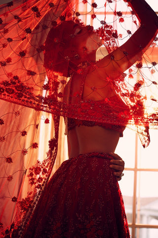 Red heavily embroidered lehenga