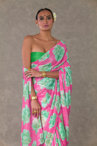 The 'Nurvi' Sitara Saree