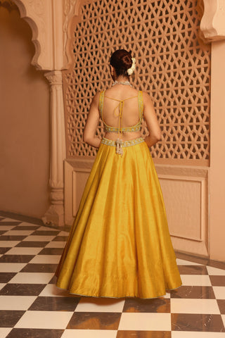 Mazhum - Mustard Lehenga with Blouse and Dupatta