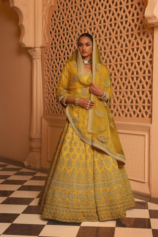 Noorali - Mustard Lehenga with Choli and Dupatta