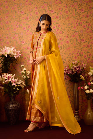 Amber Mustrad Yellow Anarkali Suit